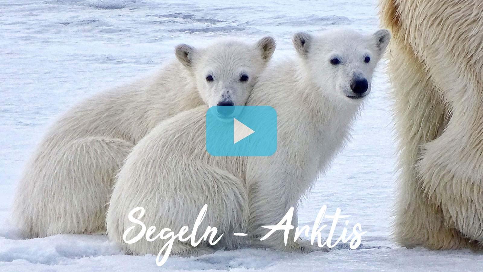 Segelreisen Polarregionen