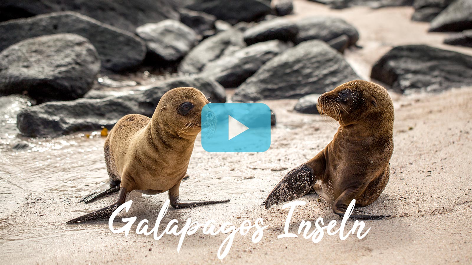 Segelreisen Ostpazifik