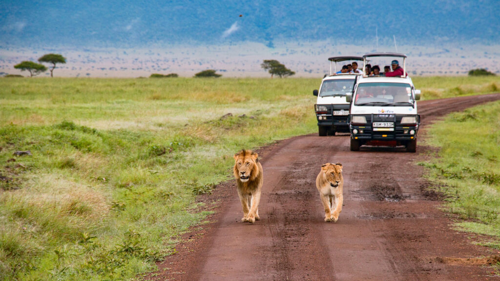 Masai Mara Camping Safari traveljunkies