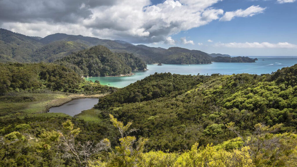 Das Beste von Neuseeland – Erlebnisreise traveljunkies