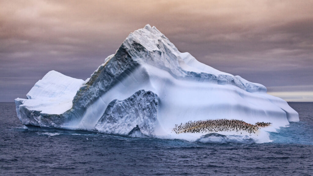 Expedition Antarktis traveljunkies