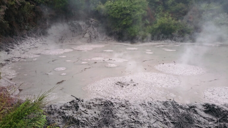 Brodelndes Schlammloch in Rotorua