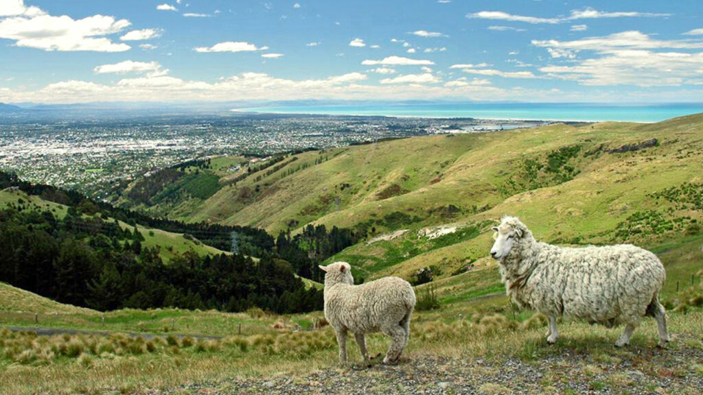Neuseeland: Südinsel ausführlich traveljunkies