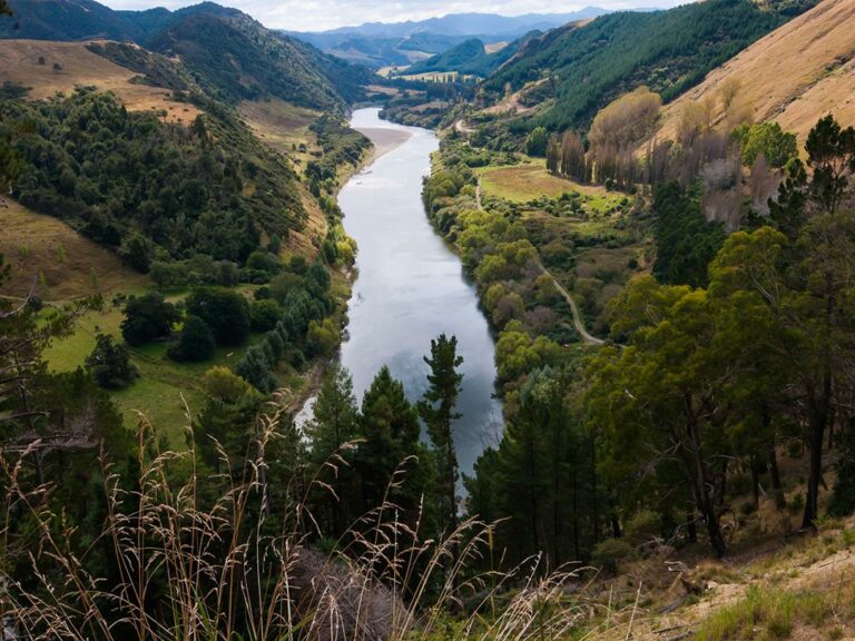 Unterwegs im Whanganui Nationalpark