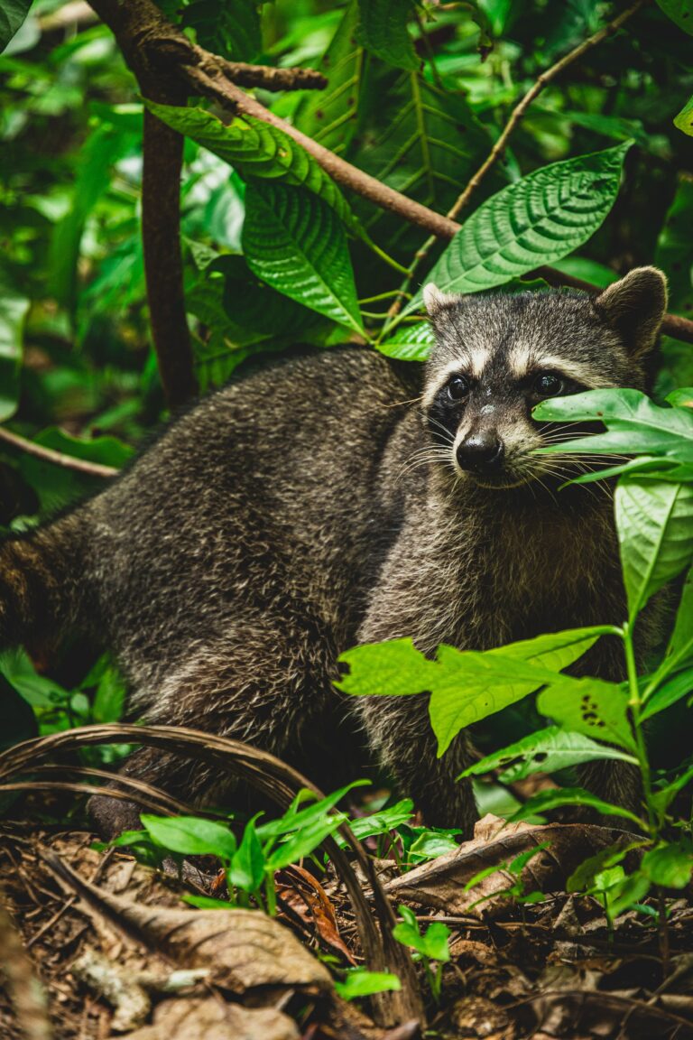 tierische Erlebnisse täglich