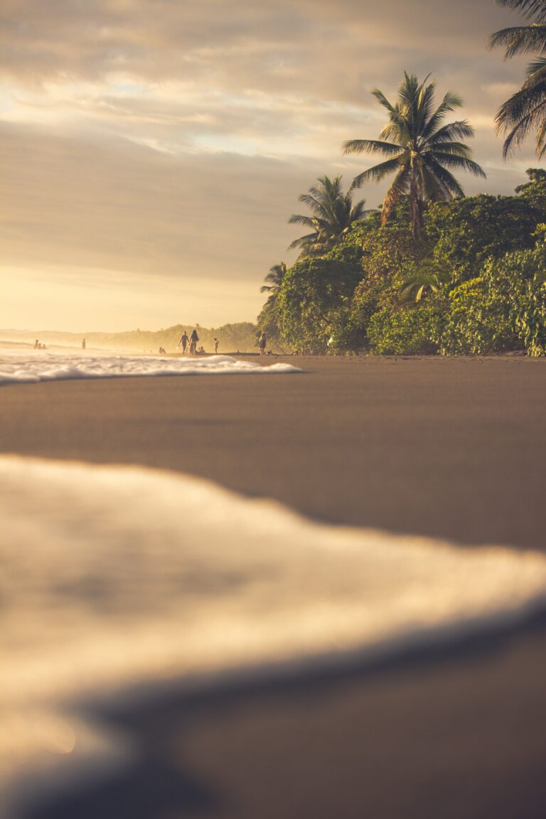 Chillen, surfen, genießen ...