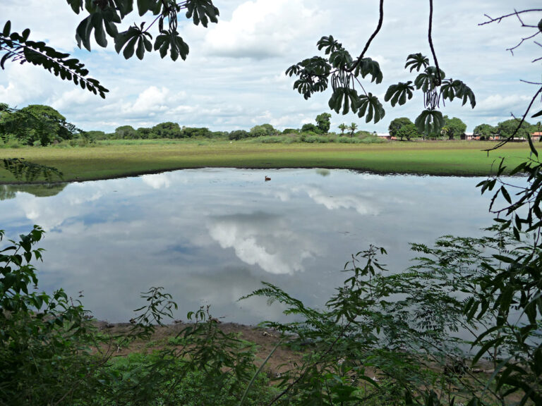 Wasserloch im Pantanal