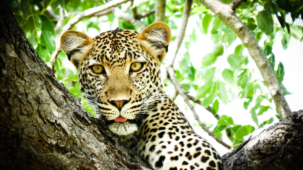 Kenia & Tansania Überlandfahrt traveljunkies