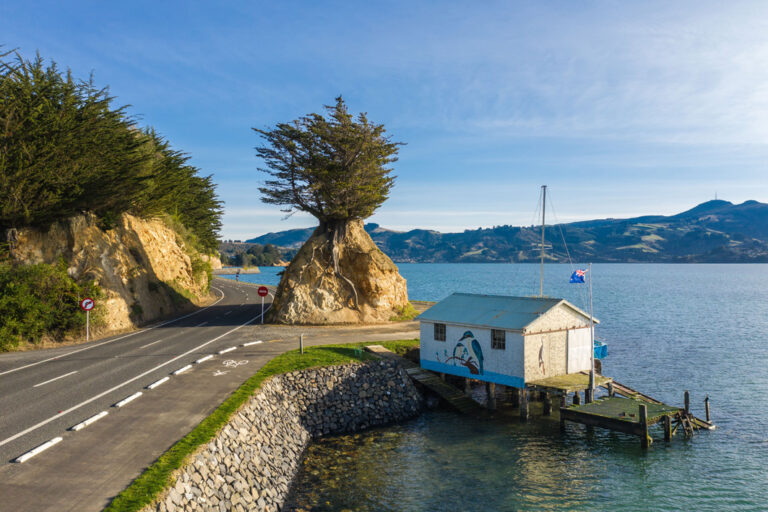 Den Peninsula Cycleway entlangradeln