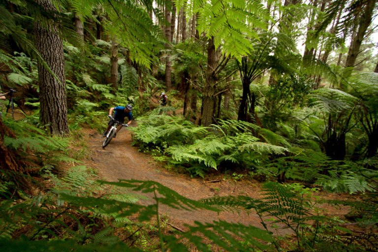 Mit dem Mountain Bike durch den Whakarewarewa Forest