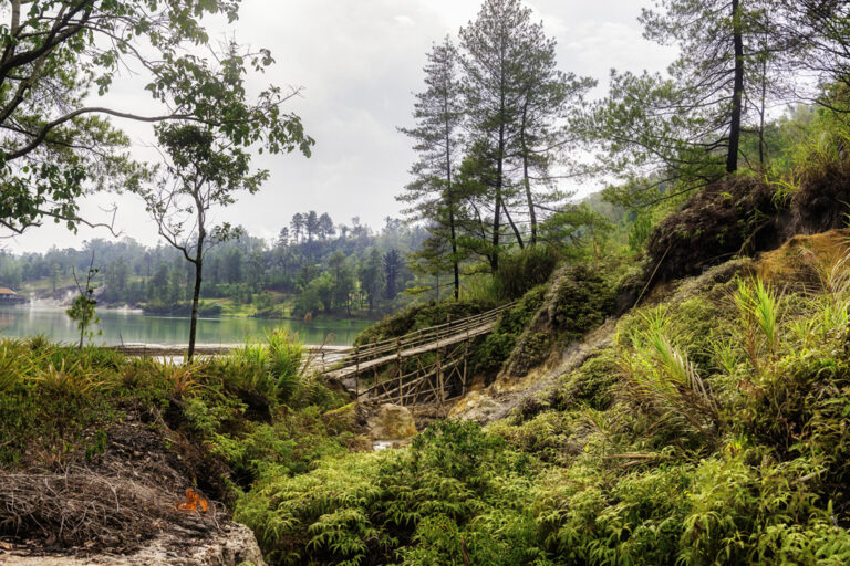 Unterwegs in der Natur