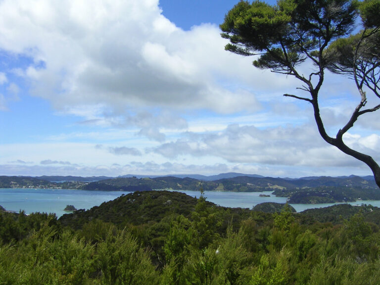 Die Bay of Islands besteht aus 144 Inseln