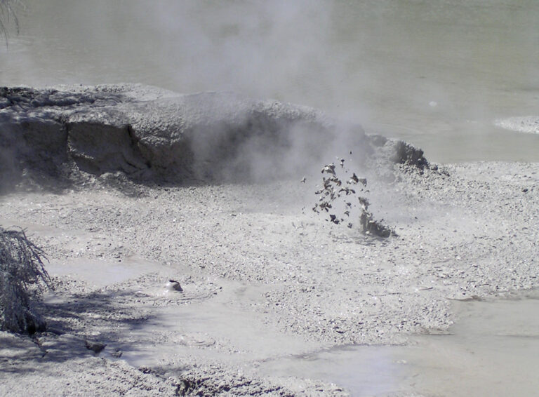 Brodelnden Schlamm gibt es in Rotorua