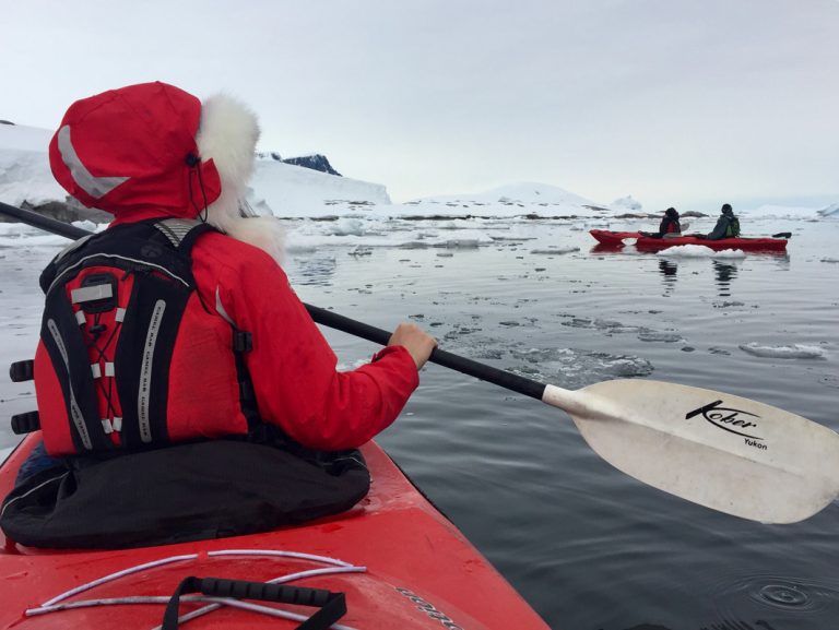 Die Antarktis vom Kajak aus entdecken
