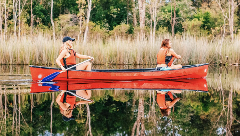 Die Noosa Everglades erkunden