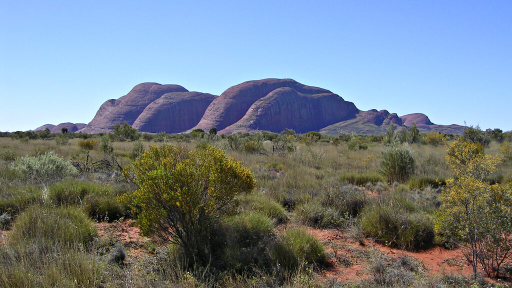 Reisen für junge Leute 1000 Abenteuer 😎 traveljunkies.tours
