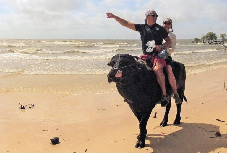 Ausritt am Strand