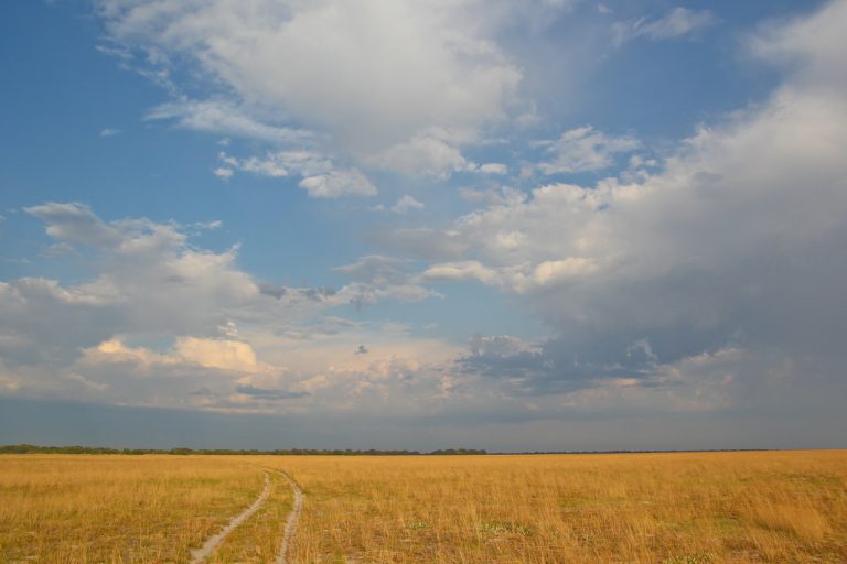 Unberührte Natur in der abgelegenen Liuwa Ebene