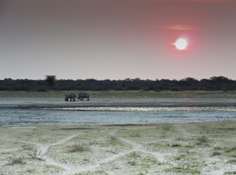 Sonnenuntergang in der Khama Rhino Sanctuary