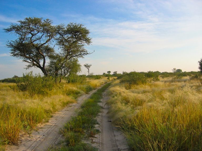 Auf der Pirsch im Khutse Game Reserve