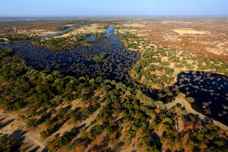 Faszinierendes Okavango Delta