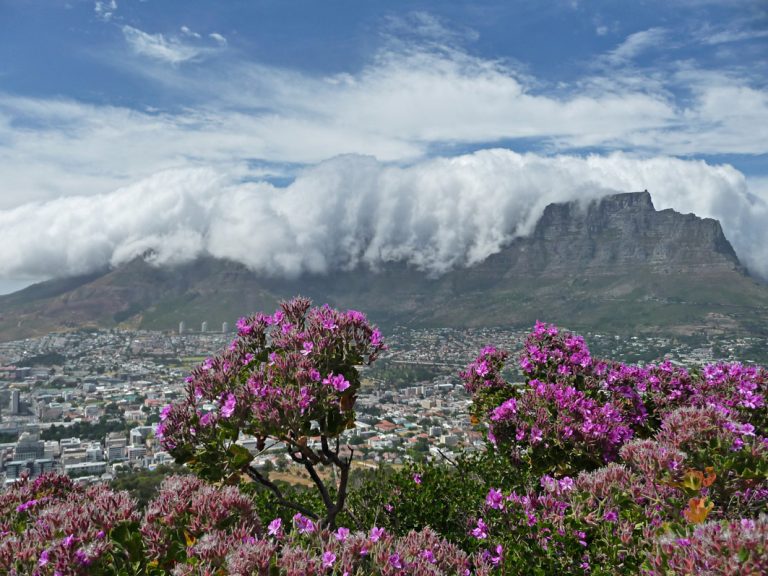 Die Wolken als Tischtuch für den Tafelberg