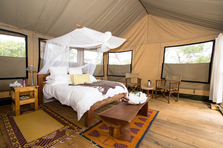 Miombo Safari Lodge