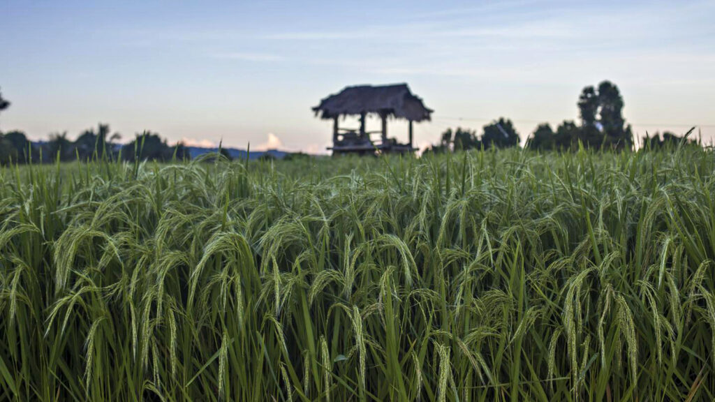 Indonesien: Bali & Lombok Abenteuer-Kombi traveljunkies