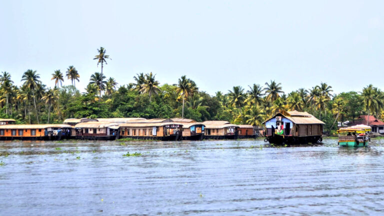 Südindien: Keralas Strände & Backwaters traveljunkies