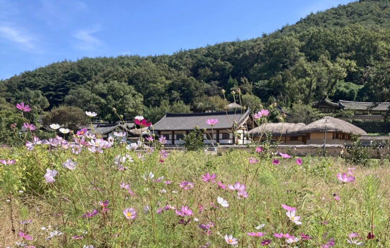 Idylle pur im Dorf Yangdong