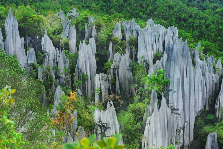 Beeindruckender Gunung Mulu Nationalpark