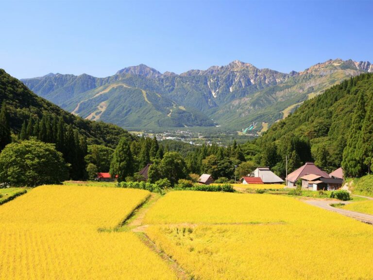 Endlose Felder in Nagano