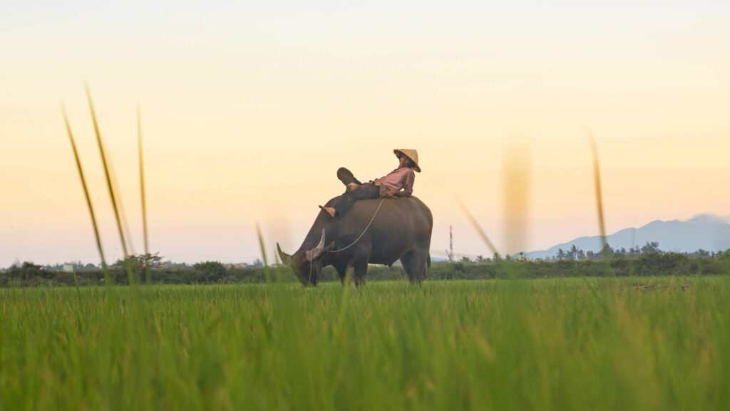 Abenteuer Indochina - preiswert reisen traveljunkies