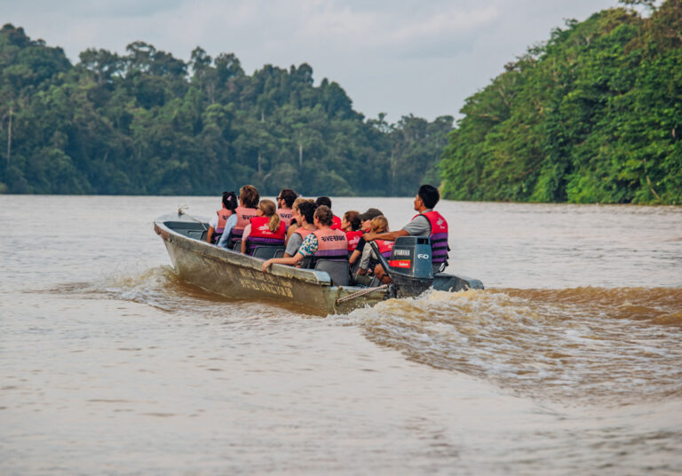 Auf zur Flusssafari