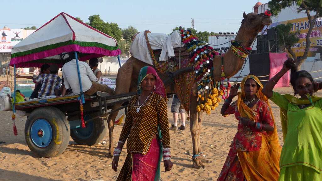 Indien: Von Delhi nach Goa – preiswert reisen traveljunkies