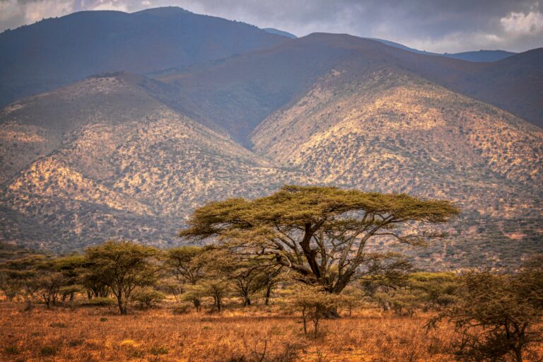 Bilderbuch Afrika