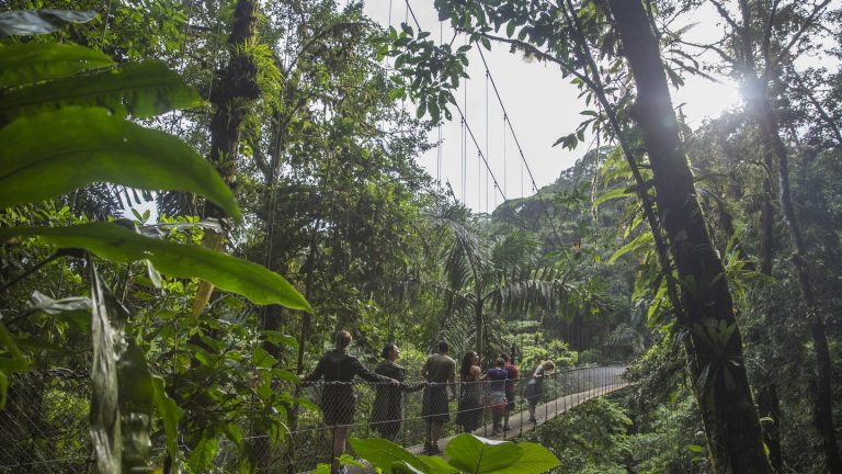 Ausflug La Fortuna zur Suspension Bridge in Costa Rica