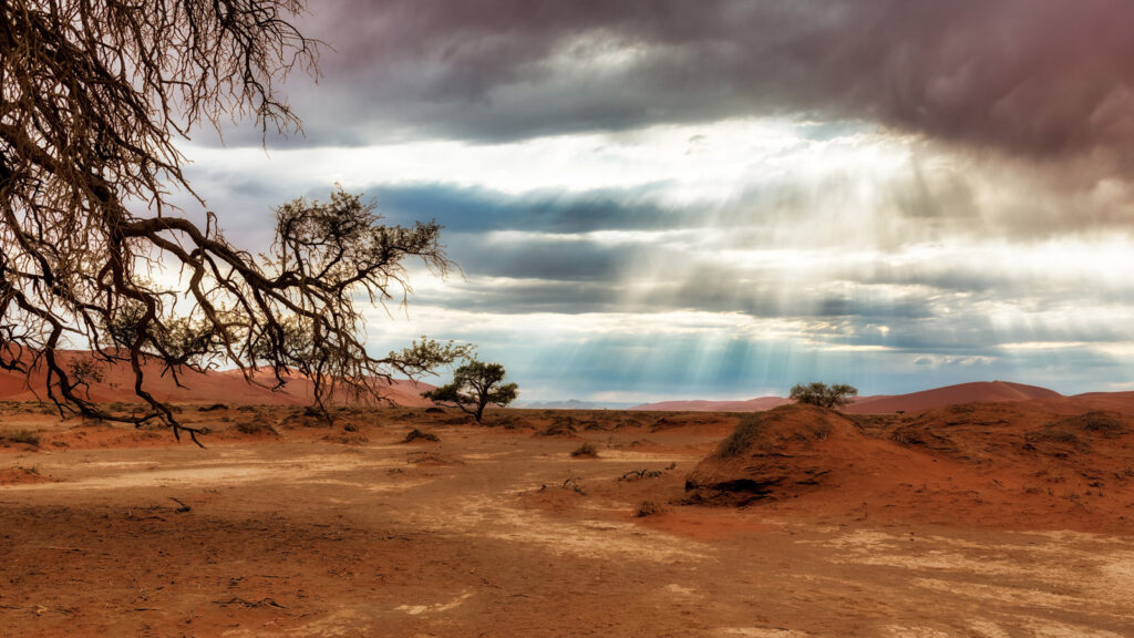 highlights-des-suedlichen-afrikas-suedwaerts-traveljunkies