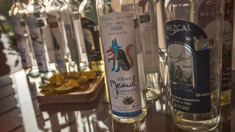 Mezcal probieren