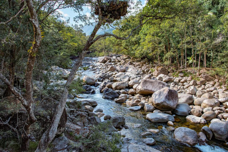 Mossman Gorge