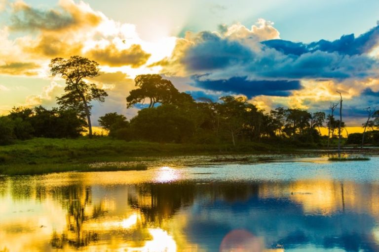 Abendstimmung im südlichen Pantanal