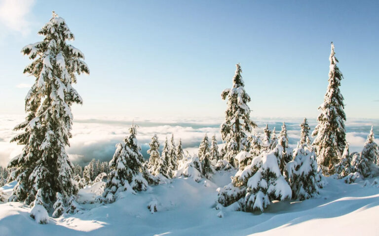 Märchenhafte Schneelandschaft