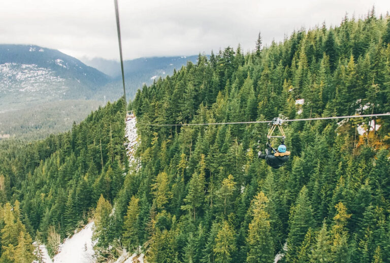 Ziplining über den Baumwipfeln