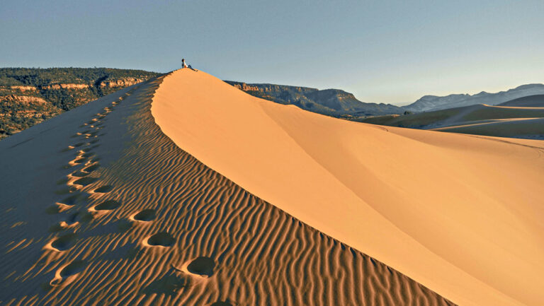 Sanddünen, die an die Sahara erinnern