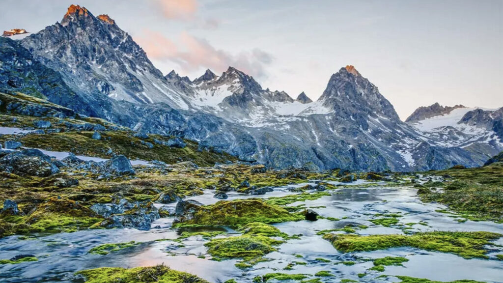 Alaskas pure Wildnis traveljunkies