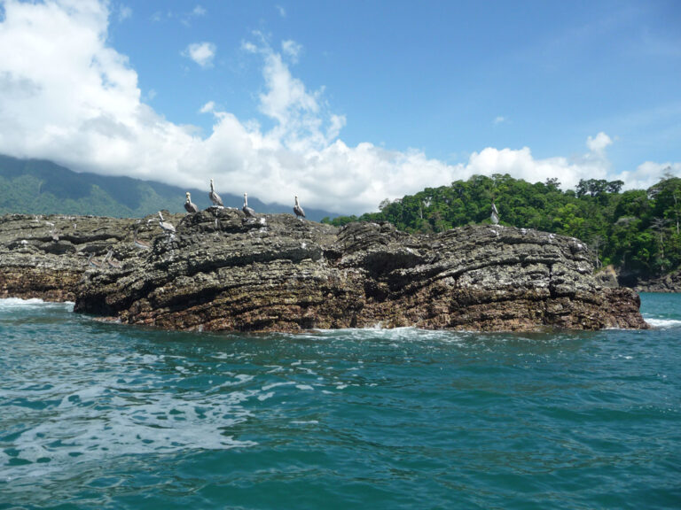 Unterwegs im Ballena Marino Nationalpark