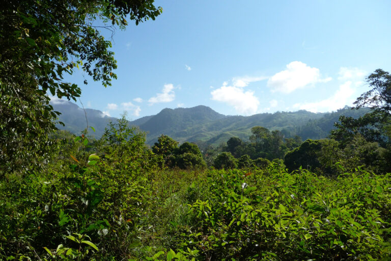 Unberührtes Costa Rica