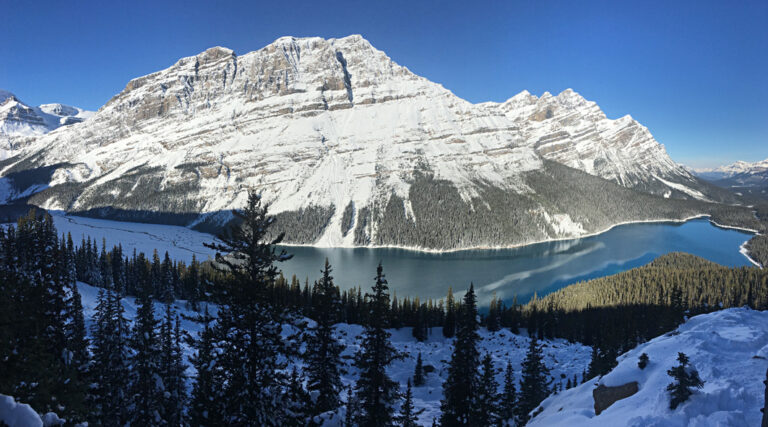 Ausblick auf den Peyto Lake