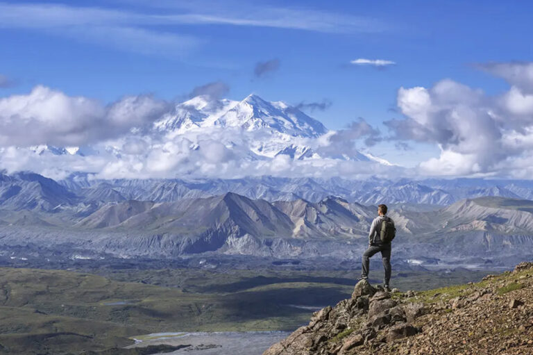 Postkartenkulisse im Denali Nationalpark