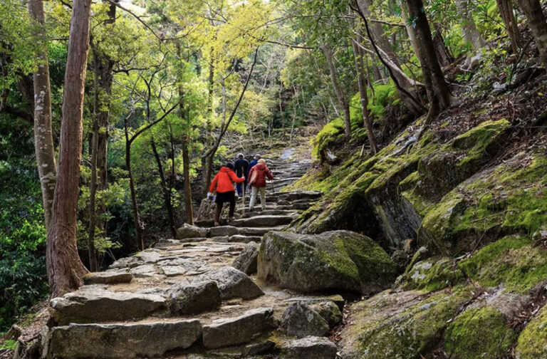 Wanderung auf dem Kumano Kodo Trail